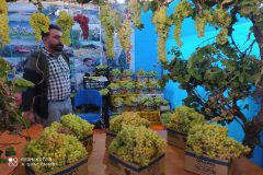 افتتاح نمایشگاه محصولات کشاورزی و صنایع دستی در خنداب