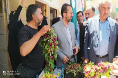 چهارمین جشنواره آلبالو و گیلاس در خنداب افتتاح شد