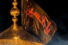 پیاده‌روی اربعین موجب عزت مسلمین است